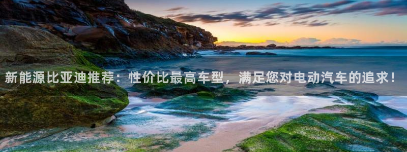新宝GG管理