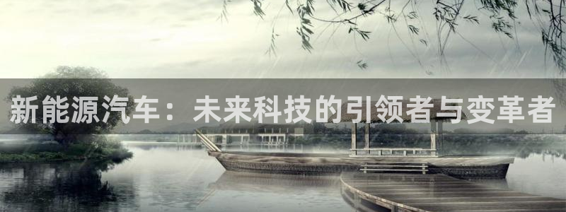 新宝gg为什么没人管：新能源汽车：未来科