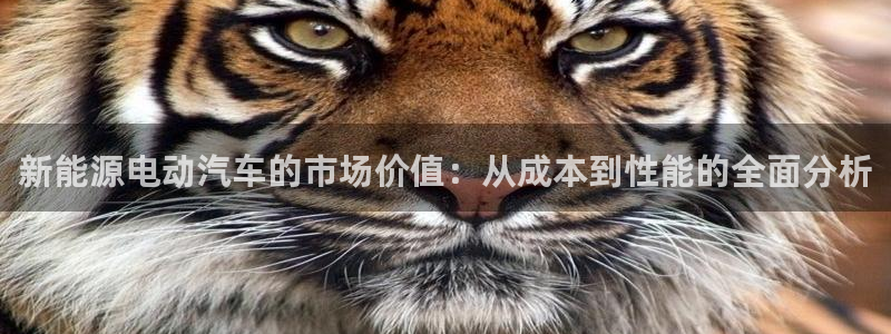 新宝gg平台开户：新能源电动汽车的市场价