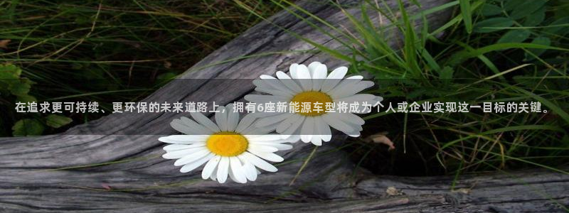 新宝gg注销：在追求更可持续、更环保的未