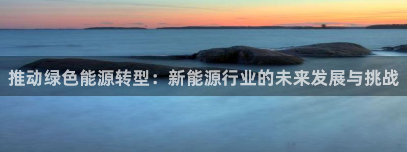 新宝gg和新宝5：推动绿色能源转型：新能