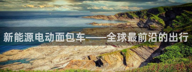 新宝gg109：新能源电动面包车——全球