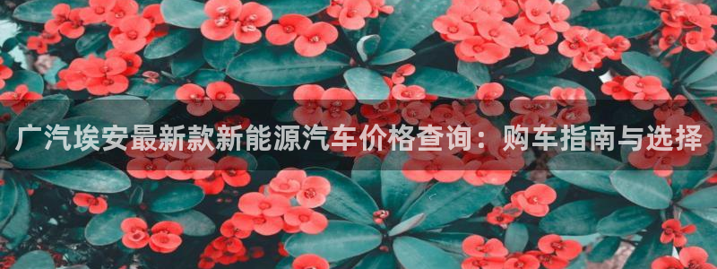 新宝注册gg平台：广汽埃安最新款新能源汽