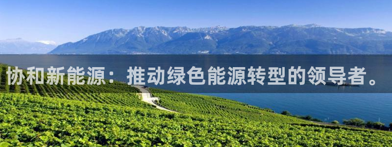 新宝 gg .com：协和新能源：推动绿